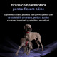 Purina Pro Plan Canine FortiFlora – Supliment Probiotic pentru Câini – 30 Plicuri